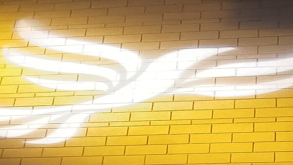 Lib Dem logo bird projected on blockwork