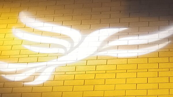 Lib Dem logo bird projected on blockwork