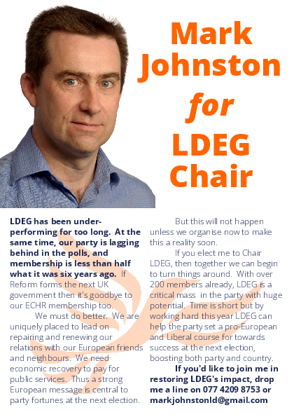 Election manifesto - Mark Johnston